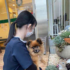 pet nurse assistant