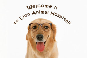 Lion Animal Hospital